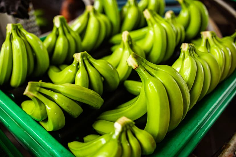 Frutas de exportación