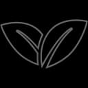 Origen e Identidad